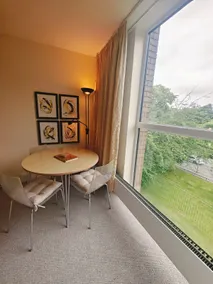 The Parnassian | Grand Canal View, Prime Location - Image 5