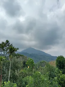 sree vasudevam homestay munnar - Image 4