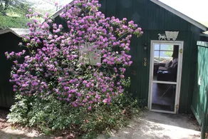 Lakefront Cabin, Quiet Location - Image 3