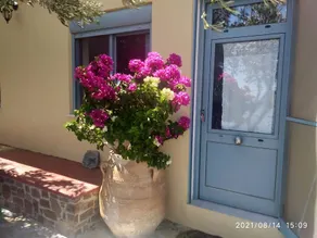 Countryside house overlooking the South Cretan Sea - Image 5