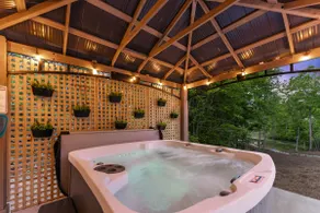 Lakefront Cabin | Hot Tub & Dock | Near Helen - Image 4