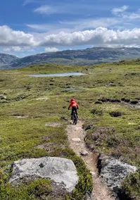 Sunny cabin with views and proximity to Trolltungen - Image 4