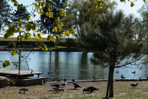Small house by the pond - Image 3