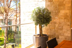SanPietro Premium Apartment 002 - Image 2