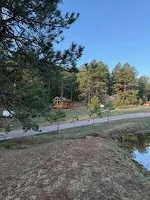Towering Pines Tiny House - Image 4