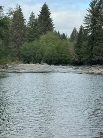 Bogachiel River Ranch - Image 5