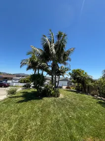 4 Bedroom Home in Vista with 6 beds 2 baths - Image 4