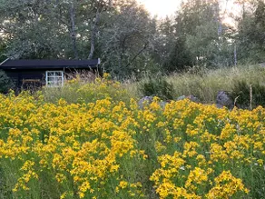 Stay between lake & forest, with chickens & horses outside! - Image 2