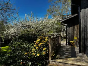 The cottage on Brännö - Image 2