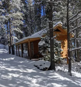 Wilderness Cabin - Image 4
