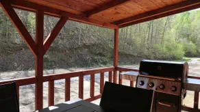 The Bear Cabin - Image 4