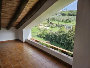 Las Vacas Farm. Nature - Image 2