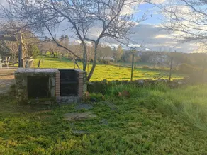 Las Vacas Farm. Nature - Image 5