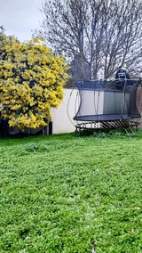 Henry's Cottage - Image 3