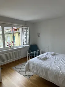 2 BR Apartments in Zurich West - Image 4