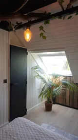 Cocoon Ny - DURBUY - Image 5
