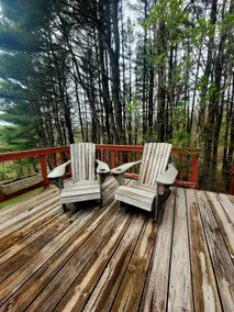 The Cabin on Pine Hill - Image 4