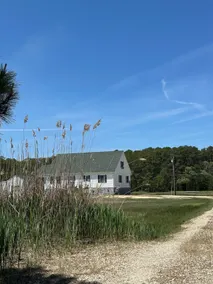 Peaceful Marsh Retreat - Image 5