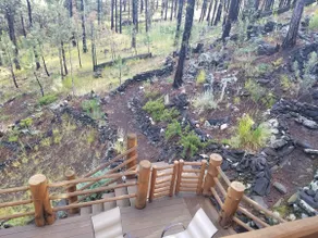 Black Hills Log Cabin - Image 2
