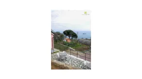 The house among the olive trees for 4 people - Image 2