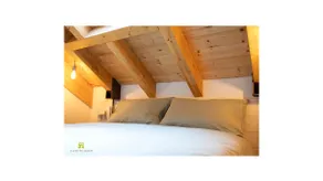 The house among the olive trees for 4 people - Image 3