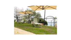 The house among the olive trees for 4 people - Image 5
