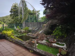 O Lugar do Piñón - Image 3