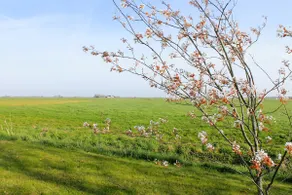 B&B de Friese Meren, helemaal privé voor jou! - Image 4