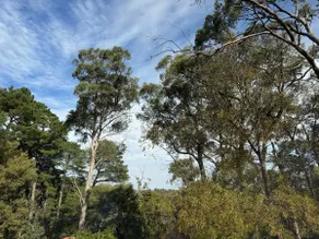 Getaway in the Adelaide Hills - Image 4