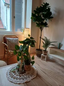 The Pasteur Apartment - Image 3