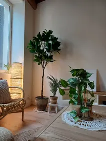 The Pasteur Apartment - Image 5