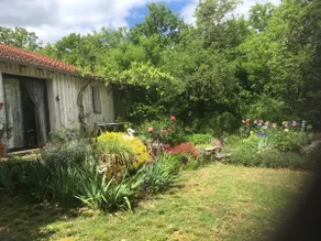 Wooden house surrounded by nature - Image 5