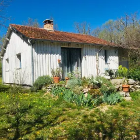 Wooden house surrounded by nature - Image 2