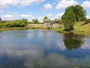 Beautiful rental facing the pond. - Image 4