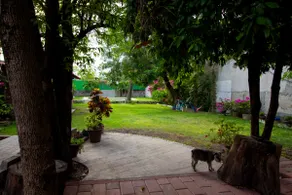 Casa Yoliztli - Image 4