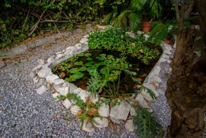 Casa Yoliztli - Image 2