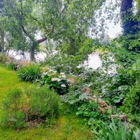 Le gite de l'ile du Buzet - Image 2