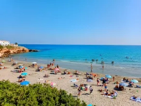 Playa Flamenca Splendid apartment on the beach - Image 5