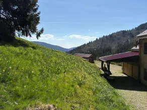 Country house at 800m, sauna, bathing pond - Image 3