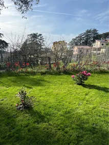 the magical castle - Image 2