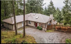 Island forest retreat - Image 3