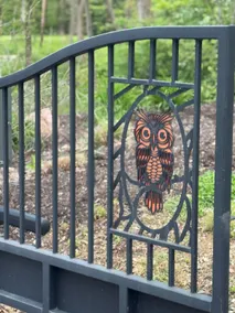 Owlet #4 at Owl Ridge - Image 3