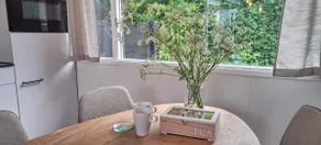 Beautiful Chalet sauna large private garden Zeeland VP082 - Image 5