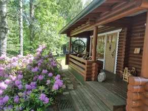 Cottage at Lake Koti (1 hour from Hki) - Image 4