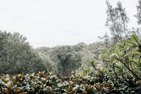 Bynya Retreat - Image 3