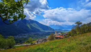 Il nido di Siro - Image 2