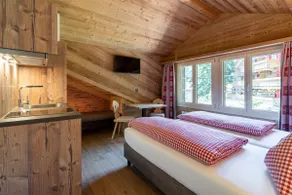 Alpine studio with rain shower - Image 3