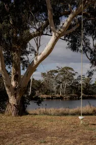 Little Swanport River Haven - Image 4