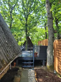 Tobozka in Bükk - Image 3