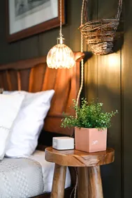 Sweet Myrtle, Midcentury, King Bed, Record Player - Image 5